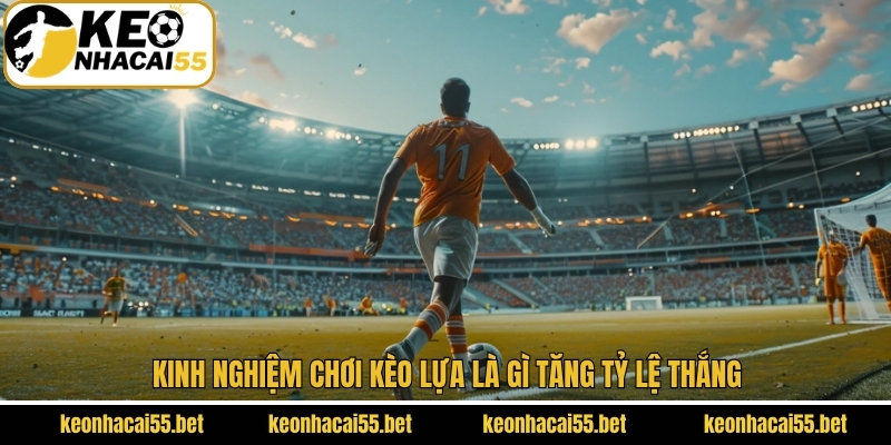 Kèo Lựa Là Gì? Kinh Nghiệm Cược Hay Dành Cho Hội Viên 3 Chiến thuật chơi kèo lựa tăng tỷ lệ chiến thắng