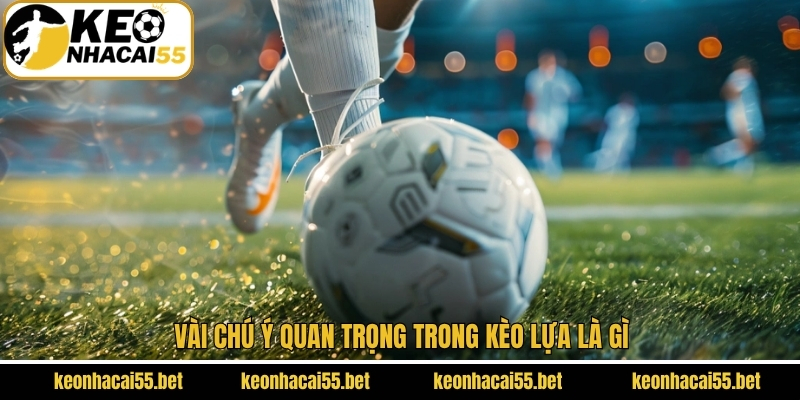 Kèo Lựa Là Gì? Kinh Nghiệm Cược Hay Dành Cho Hội Viên 4 Vài chú ý quan trọng trong kèo lựa là gì